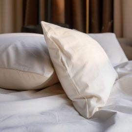 Sleep & Beyond 100% Organic Cotton Waterproof Pillow Encasement Pair