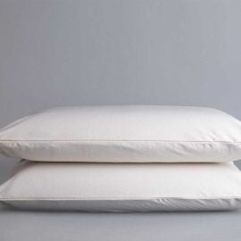 Sleep & Beyond 100% Organic Cotton Waterproof Pillow Encasement Pair
